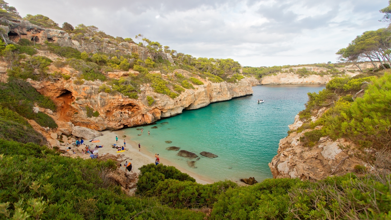 Kann man auf Mallorca Haie sehen?