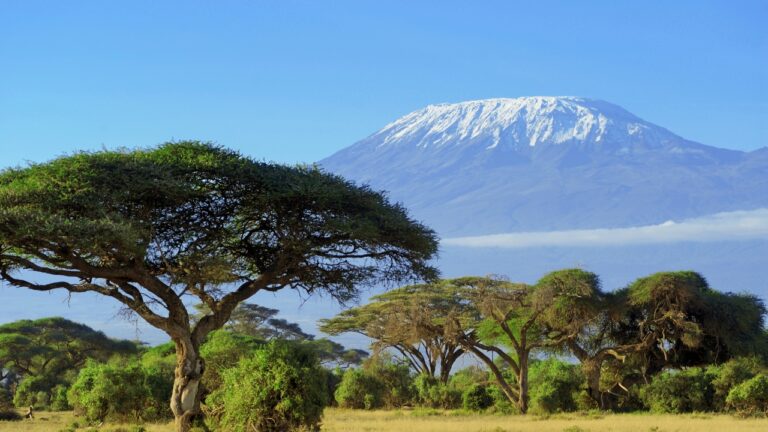 Kenia Wetter – Wann ist die beste Reisezeit für einen Urlaub?