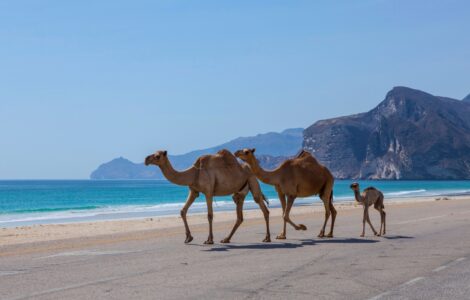 Oman Wetter – Wann ist die beste Reisezeit für einen Urlaub?