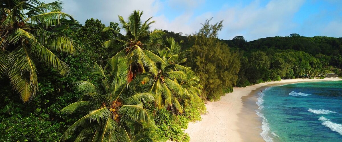 Preise auf den Seychellen – was kosten Lebensmittel, Restaurants, Attraktionen und Unterkünfte?