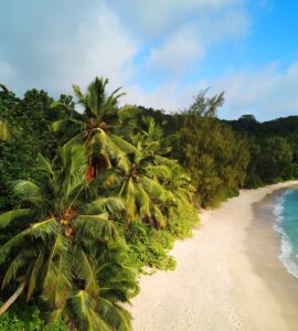 Preise auf den Seychellen – was kosten Lebensmittel, Restaurants, Attraktionen und Unterkünfte?