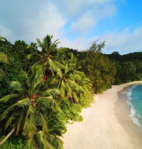 Preise auf den Seychellen – was kosten Lebensmittel, Restaurants, Attraktionen und Unterkünfte?
