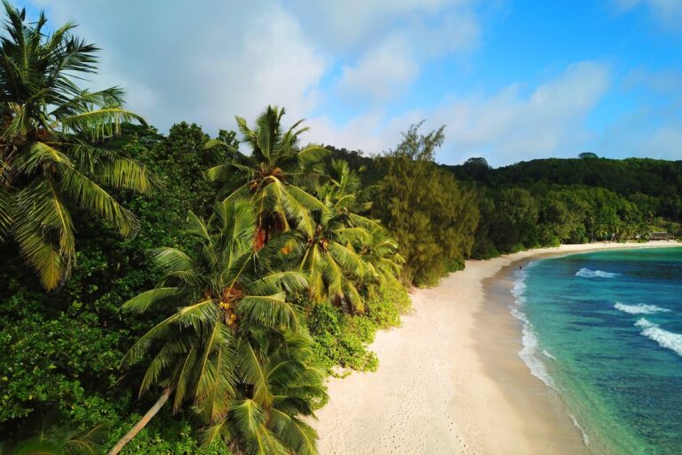 Preise auf den Seychellen – was kosten Lebensmittel, Restaurants, Attraktionen und Unterkünfte?