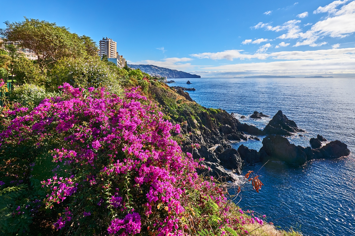 wie-teuer-ist-madeira-preise-f-r-lebensmittel-restaurants