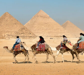 Delfintour in Ägypten – Wo, wie viel und was beachten?
