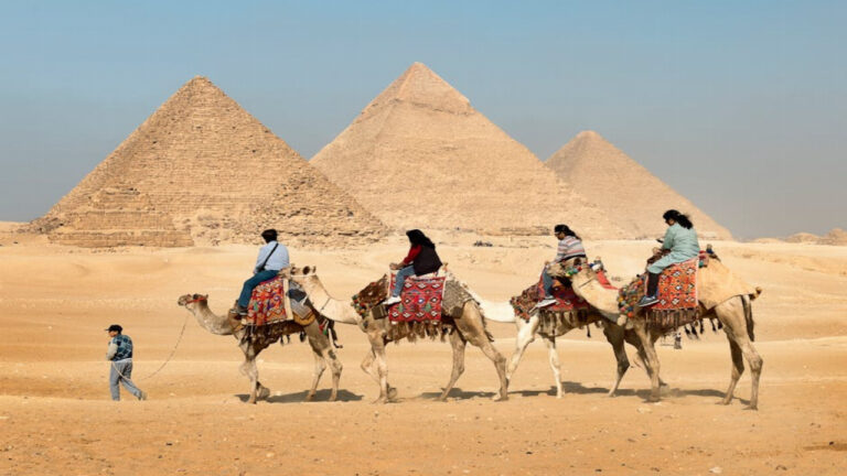 Delfintour in Ägypten – Wo, wie viel und was beachten?
