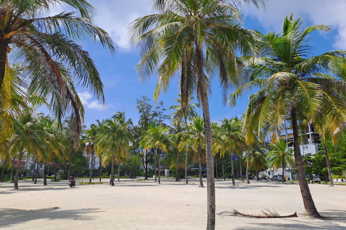 Hulhumale Island Auf Den Malediven Schnorcheln Direkt Am Strand 
