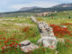 Pamukkale und Hierapolis – Weiße Terrassen und antike Ruinen