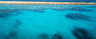 Preise in Marsa Alam – Was kosten Urlaub, Ausflüge, Hotels & Essen?