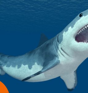 Haie in Griechenland